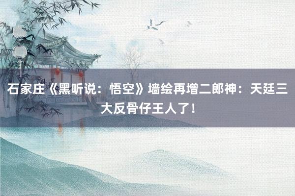 石家庄《黑听说：悟空》墙绘再增二郎神：天廷三大反骨仔王人了！