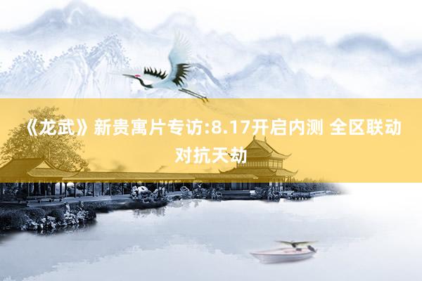 《龙武》新贵寓片专访:8.17开启内测 全区联动对抗天劫