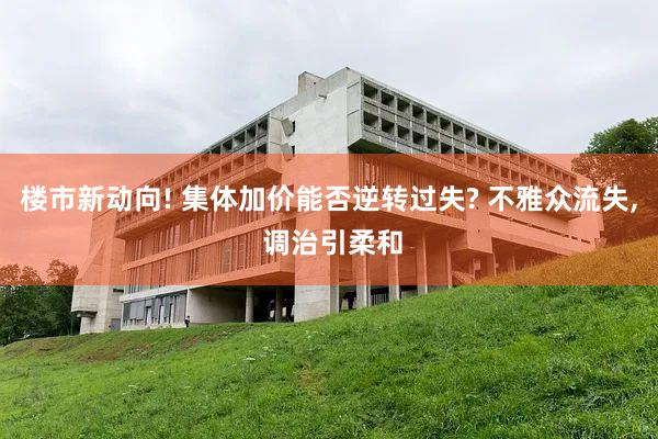 楼市新动向! 集体加价能否逆转过失? 不雅众流失, 调治引柔和