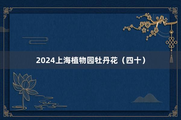 2024上海植物园牡丹花（四十）