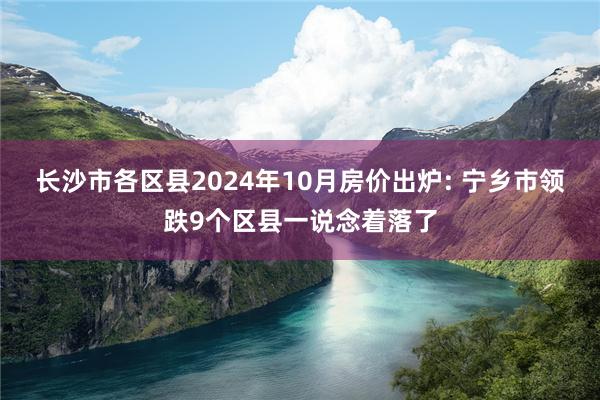 长沙市各区县2024年10月房价出炉: 宁乡市领跌9个区县一说念着落了